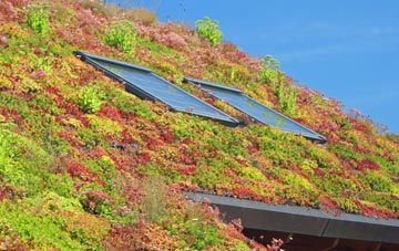 Strensham living roof systems