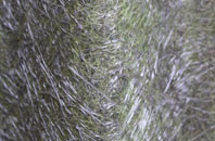 Strensham fibreglass roof work