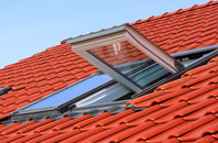 Strensham roof window